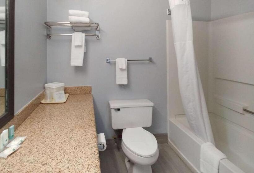 带大床的标准间, Quality Inn Dublin I81