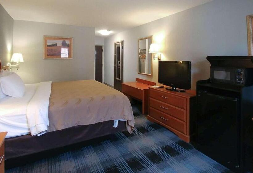 스탠다드 룸 킹사이즈 침대, Quality Inn Dublin I81