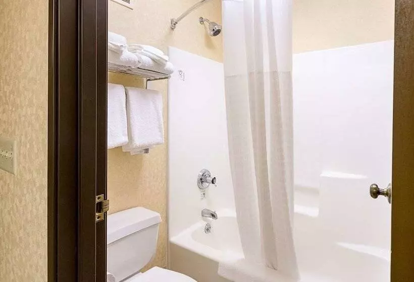 ２ダブルベッドのスタンダードルーム, Quality Inn Parkersburg Northvienna