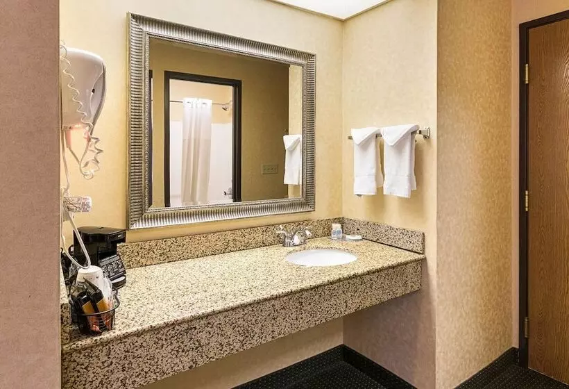 ２ダブルベッドのスタンダードルーム, Quality Inn Parkersburg Northvienna