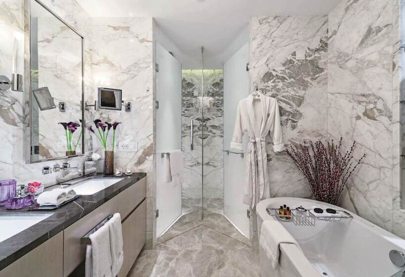 1 Bedroom Apartment with Views, Raffles Istanbul