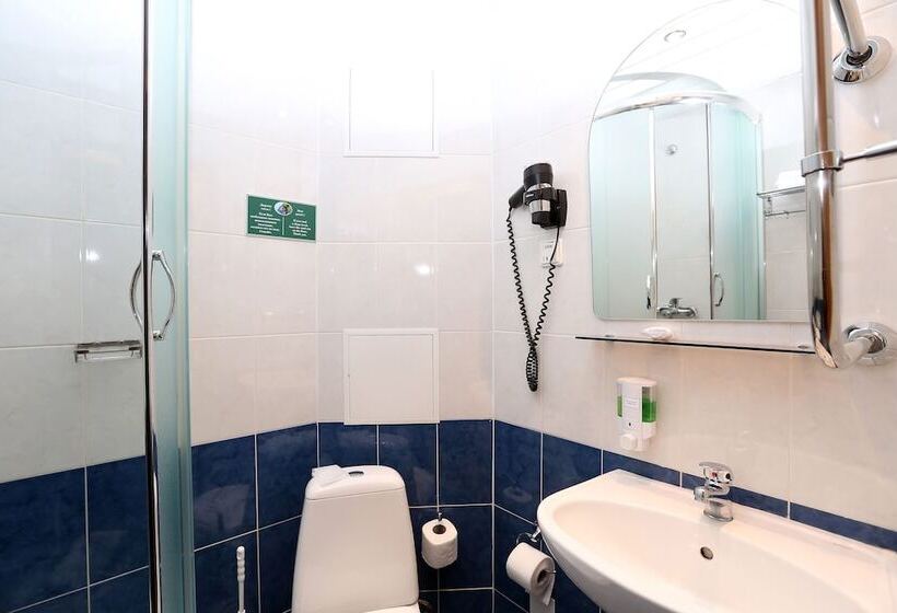 标准单人间, Sputnik