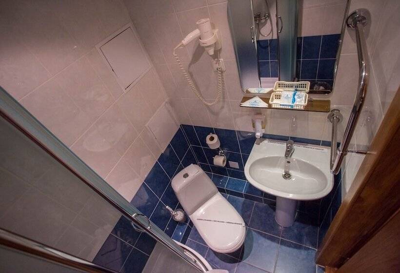 标准单人间, Sputnik