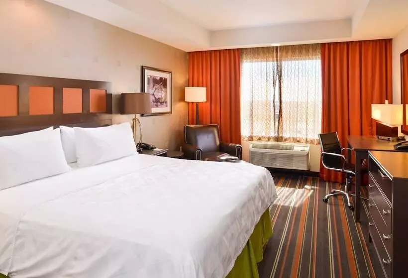スタンダードルーム, The Holiday Inn Amarillo West Medical Center, An Ihg