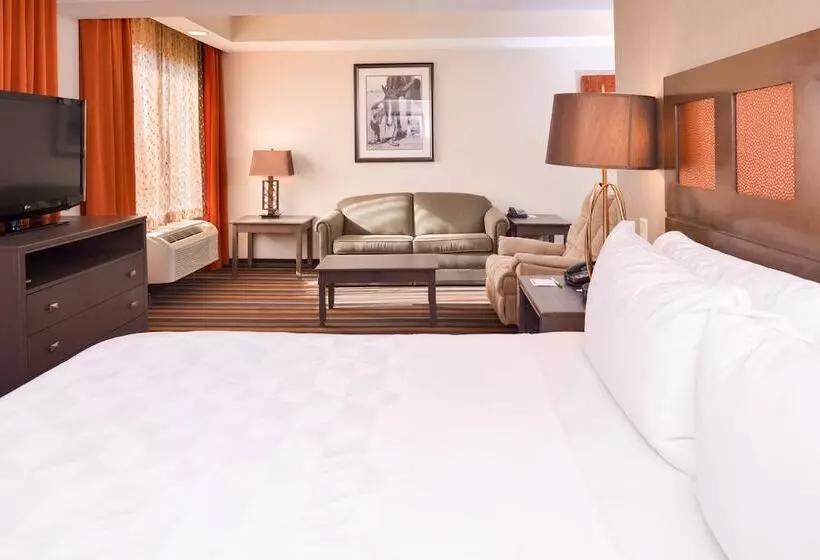 身障者適用スイートルーム, The Holiday Inn Amarillo West Medical Center, An Ihg