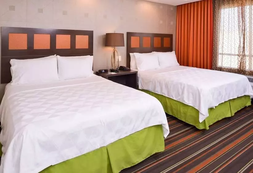 スタンダードルーム, The Holiday Inn Amarillo West Medical Center, An Ihg