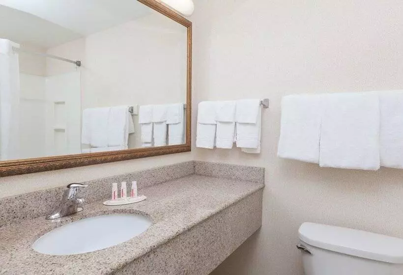 Standard-huone 2 Parivuodetta, Days Inn By Wyndham Albany Suny