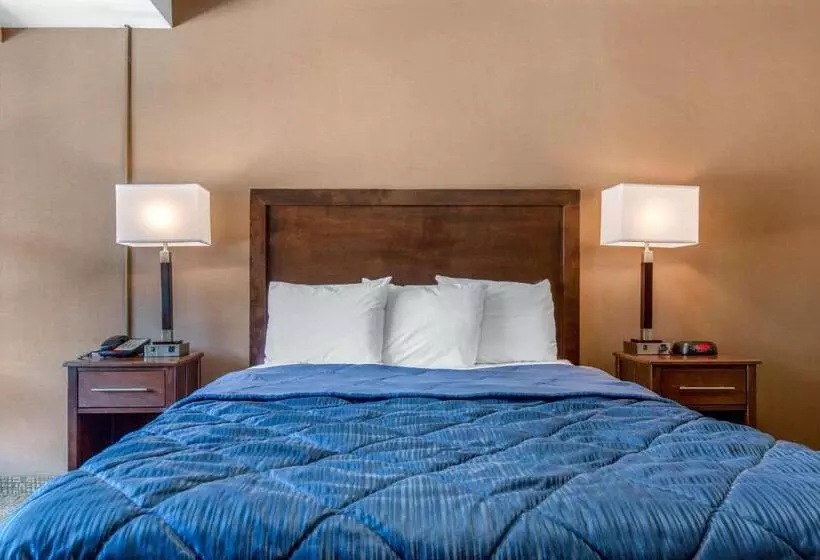 Standard-huone, Rodeway Inn
