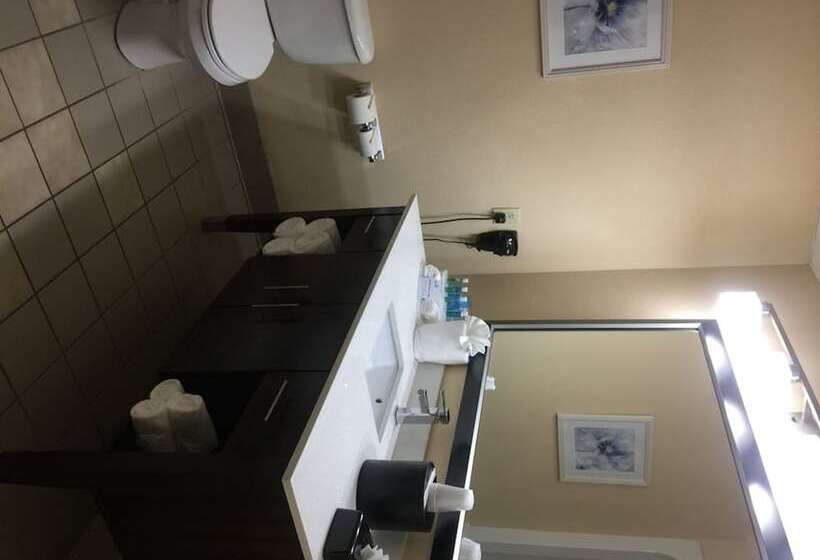 غرفه قياسيه سريرين مزدوجين, Holiday Inn Express Hotel & Suites Sanford, An Ihg