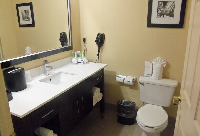 Номер Стандарт 2 Двуспальные Кровати, Holiday Inn Express Hotel & Suites Sanford, An Ihg
