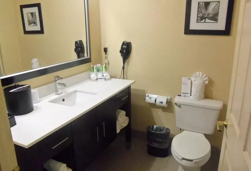 ２ダブルベッドのスタンダードルーム, Holiday Inn Express Hotel & Suites Sanford, An Ihg