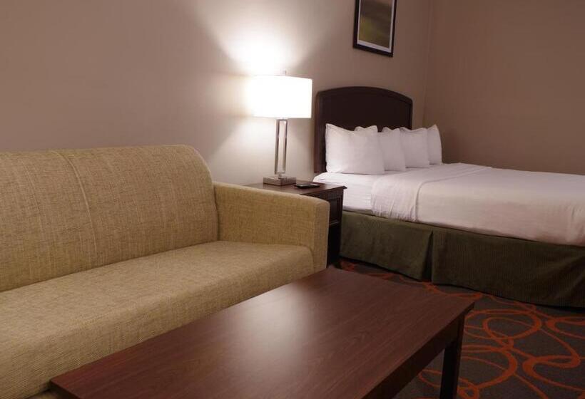 اتاق استاندارد با تخت بزرگ, Baymont By Wyndham O Fallon St. Louis Area