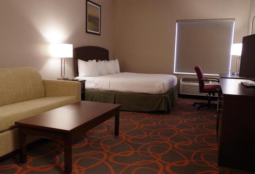 اتاق استاندارد با تخت بزرگ برای معلولان, Baymont By Wyndham O Fallon St. Louis Area