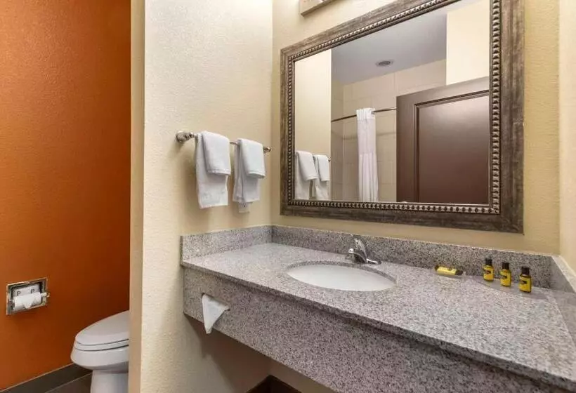 スタンダードルーム, Best Western Plus Longhorn Inn & Suites