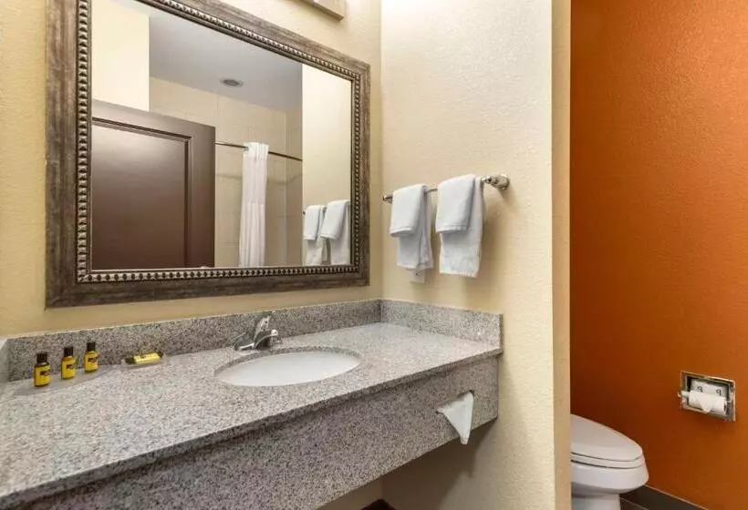 キングサイズベッドのスタンダードルーム, Best Western Plus Longhorn Inn & Suites