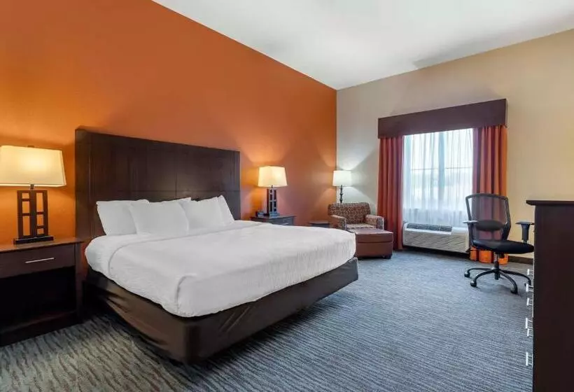 身障者適用キングサイズベッドルーム, Best Western Plus Longhorn Inn & Suites