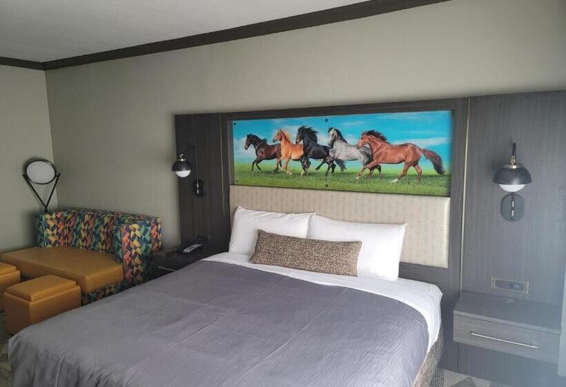 جناح بريميوم, Big Country Hotel & Suites