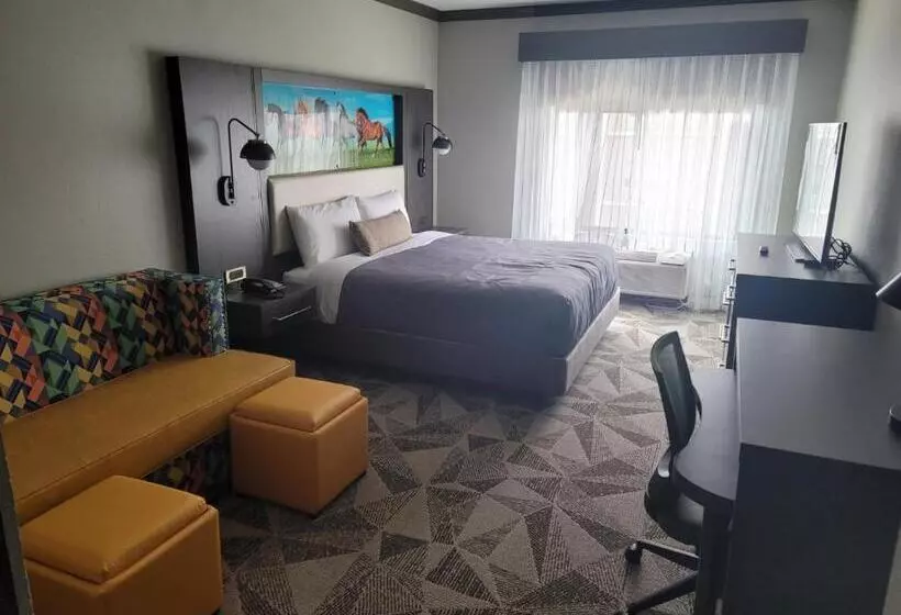 身障者適用スイートルーム, Big Country Hotel & Suites