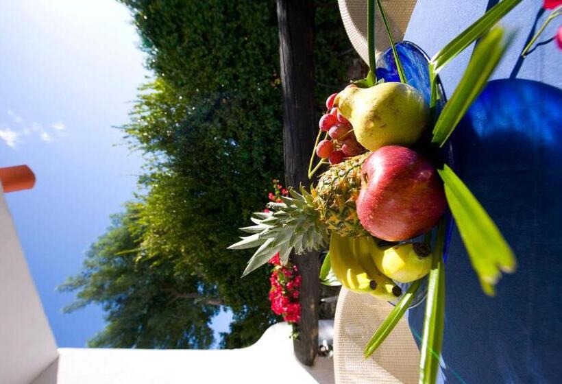 اتاق استاندارد, Central Park Terme