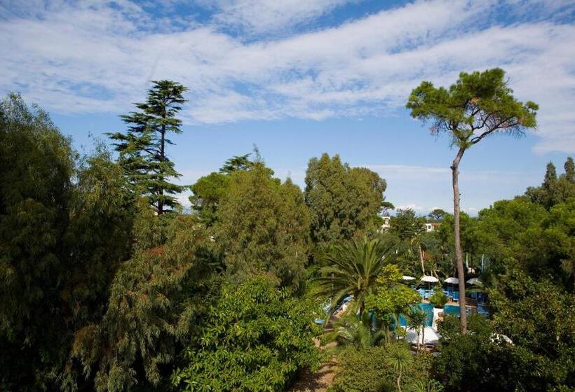 اتاق سوپریور, Central Park Terme