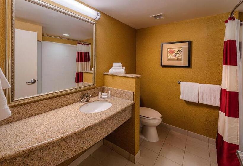 스탠다드 룸, Courtyard Carson City