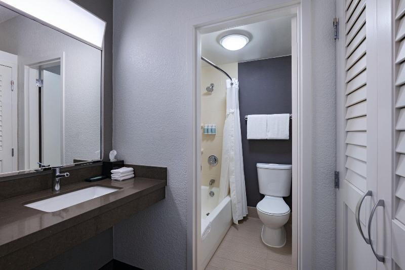 اتاق استاندارد با تخت بزرگ, Courtyard Fort Worth University Drive