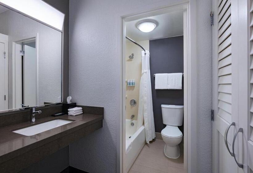 اتاق استاندارد با تخت بزرگ, Courtyard Fort Worth University Drive