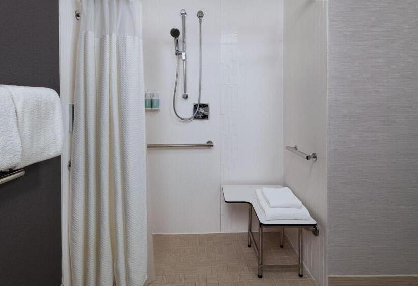 اتاق استاندارد با تخت بزرگ, Courtyard Fort Worth University Drive