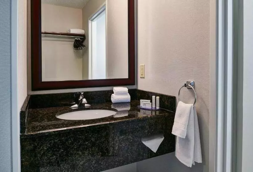 キングサイズベッドのスタンダードルーム, Fairfield Inn & Suites Detroit Livonia