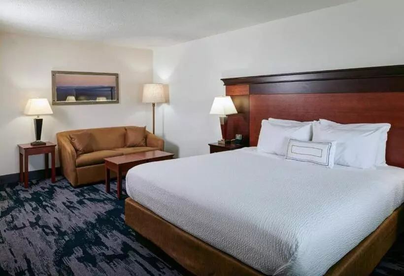 キングサイズベッドのスタンダードルーム, Fairfield Inn & Suites Detroit Livonia