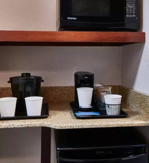 キングサイドベッドのスタンダードワンルーム, Fairfield Inn & Suites Detroit Livonia