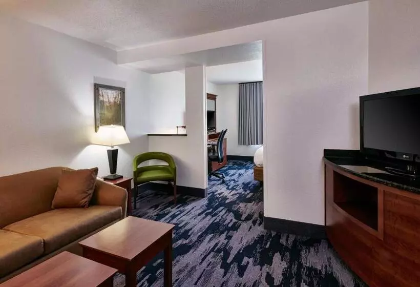 キングサイドベッドのスタンダードワンルーム, Fairfield Inn & Suites Detroit Livonia