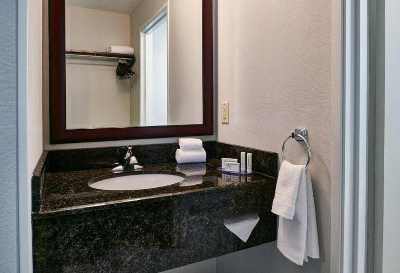 غرفة قياسية سرير كينج لذوى الإحتياجات الخاصة, Fairfield Inn & Suites Detroit Livonia