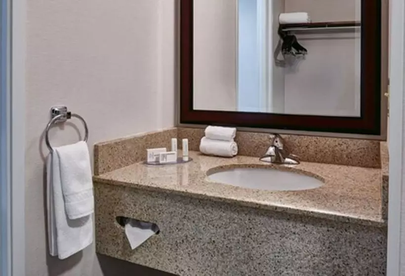 ２ダブルベッドのスタンダードルーム, Fairfield Inn & Suites Detroit Livonia