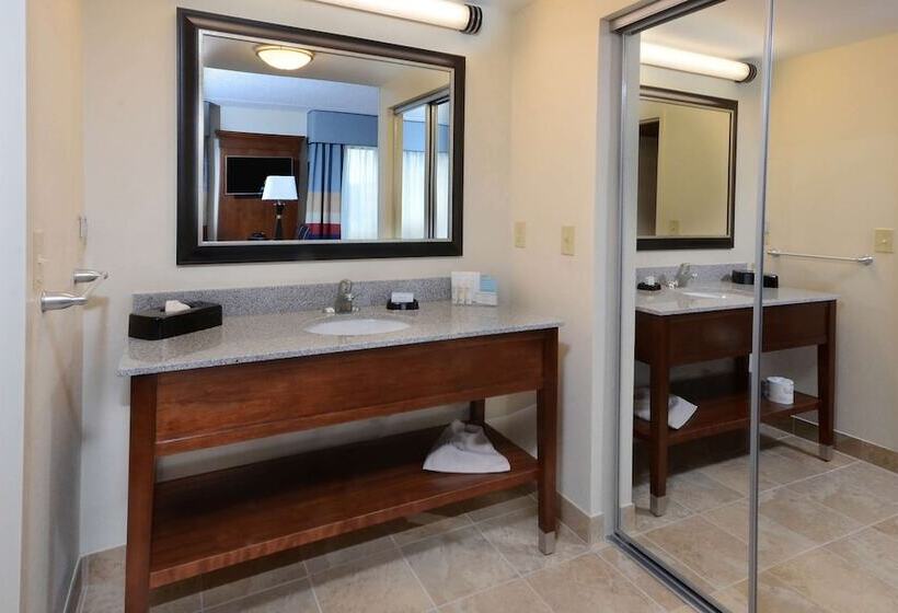 带双人床的标准工作室, Hampton Inn & Suites Lynchburg