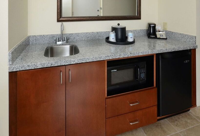 إستوديو قياسى سرير مزدوج, Hampton Inn & Suites Lynchburg