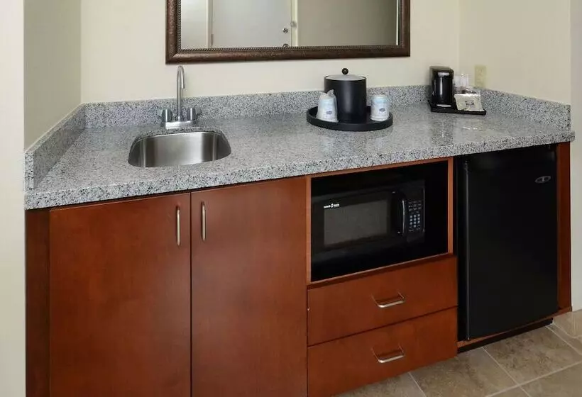 ダブルベッドのスタンダードスタジオ, Hampton Inn & Suites Lynchburg