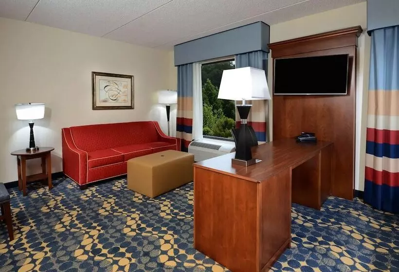 ダブルベッドのスタンダードスタジオ, Hampton Inn & Suites Lynchburg