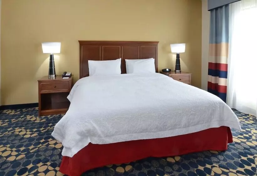 ダブルベッドのスタンダードスタジオ, Hampton Inn & Suites Lynchburg