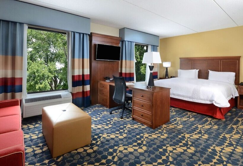 带双人床的标准工作室, Hampton Inn & Suites Lynchburg