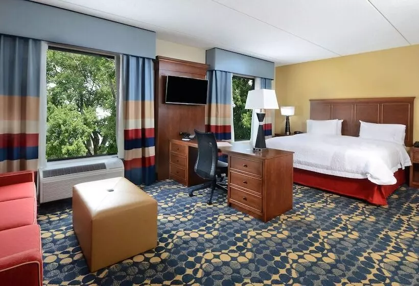 ダブルベッドのスタンダードスタジオ, Hampton Inn & Suites Lynchburg