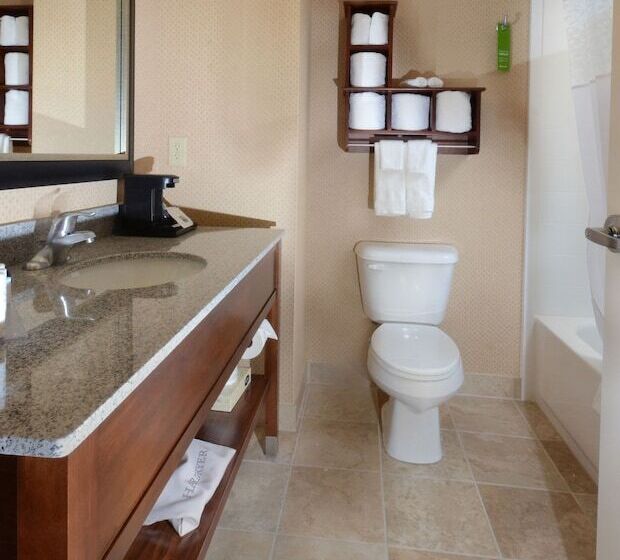 غرفة قياسية سرير كينج, Hampton Inn & Suites Lynchburg