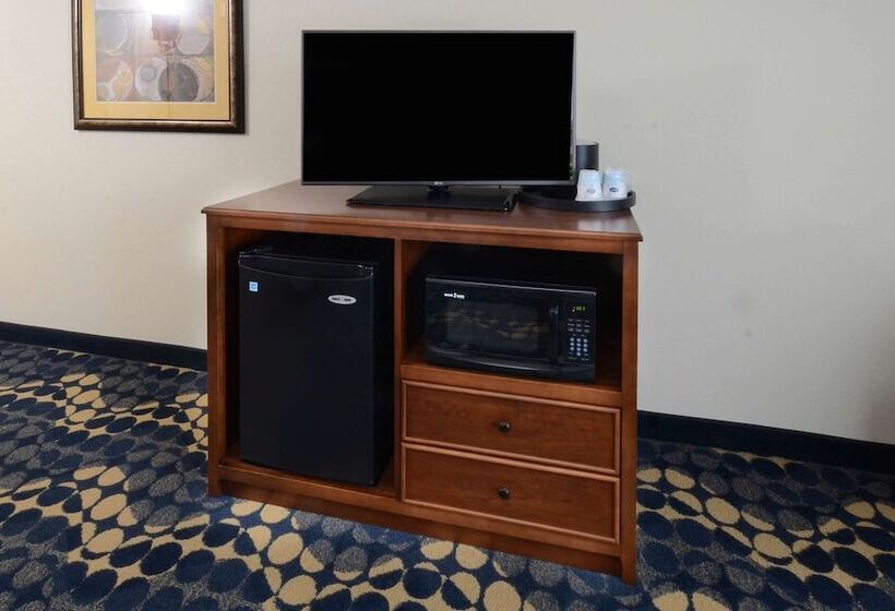 带大床的标准间, Hampton Inn & Suites Lynchburg