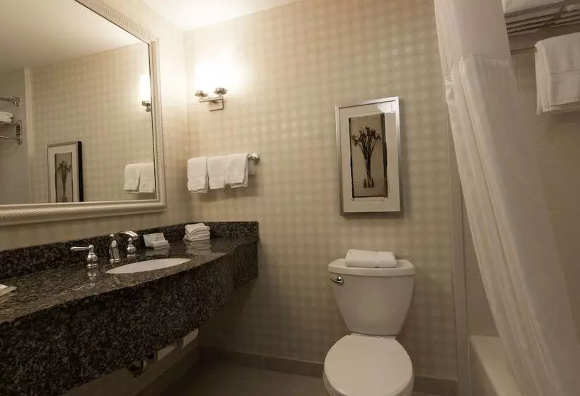 スタンダードルーム, Hilton Garden Inn Bangor