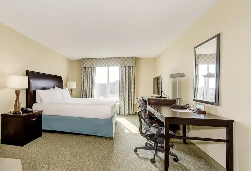 キングサイズベッドのスタンダードルーム, Hilton Garden Inn Waldorf