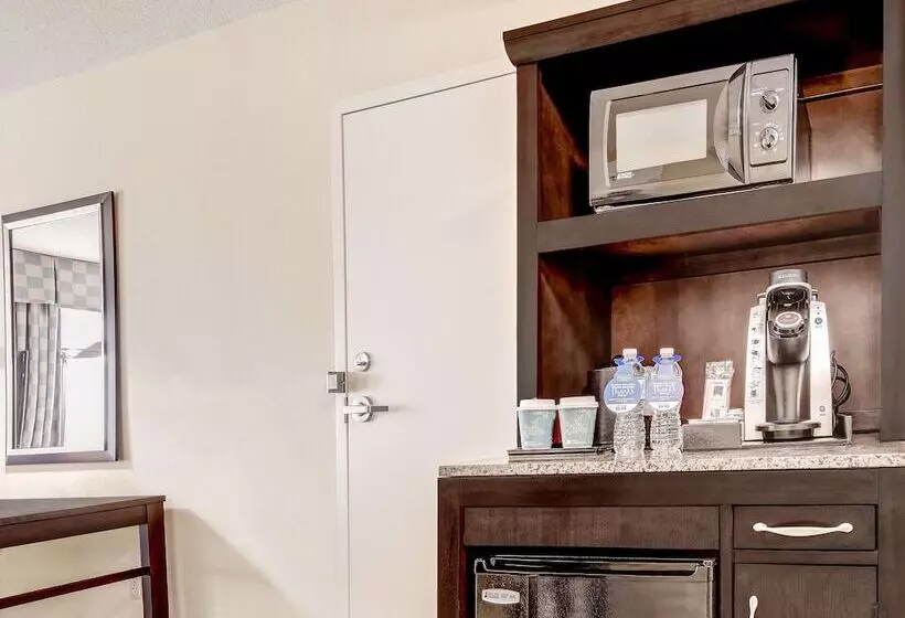 キングサイズベッドのスタンダードルーム, Hilton Garden Inn Waldorf