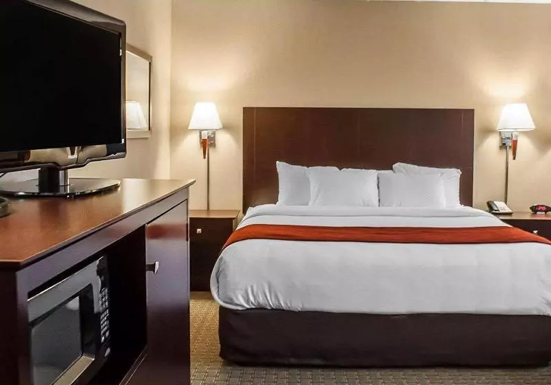 スタンダードルーム, Hilton Garden Inn Waldorf