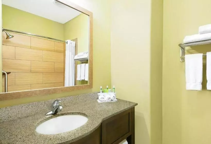 Sviitti King-vuode, Holiday Inn Express Hotel And Suites Monahans I 20, An Ihg