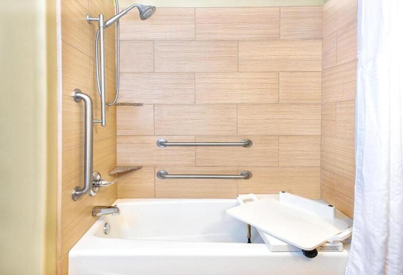 스탠다드 룸, Holiday Inn Express Hotel And Suites Monahans I 20, An Ihg