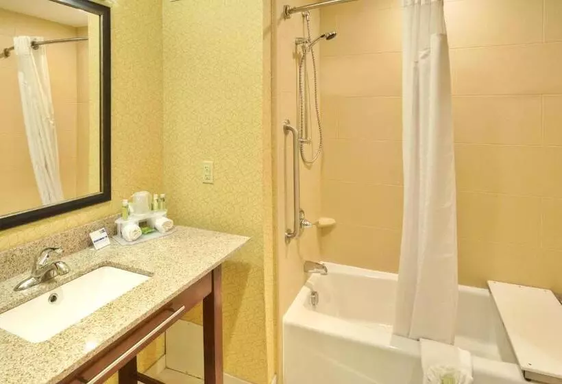 身障者適用スイートルーム, Holiday Inn Express Frankenmuth, An Ihg